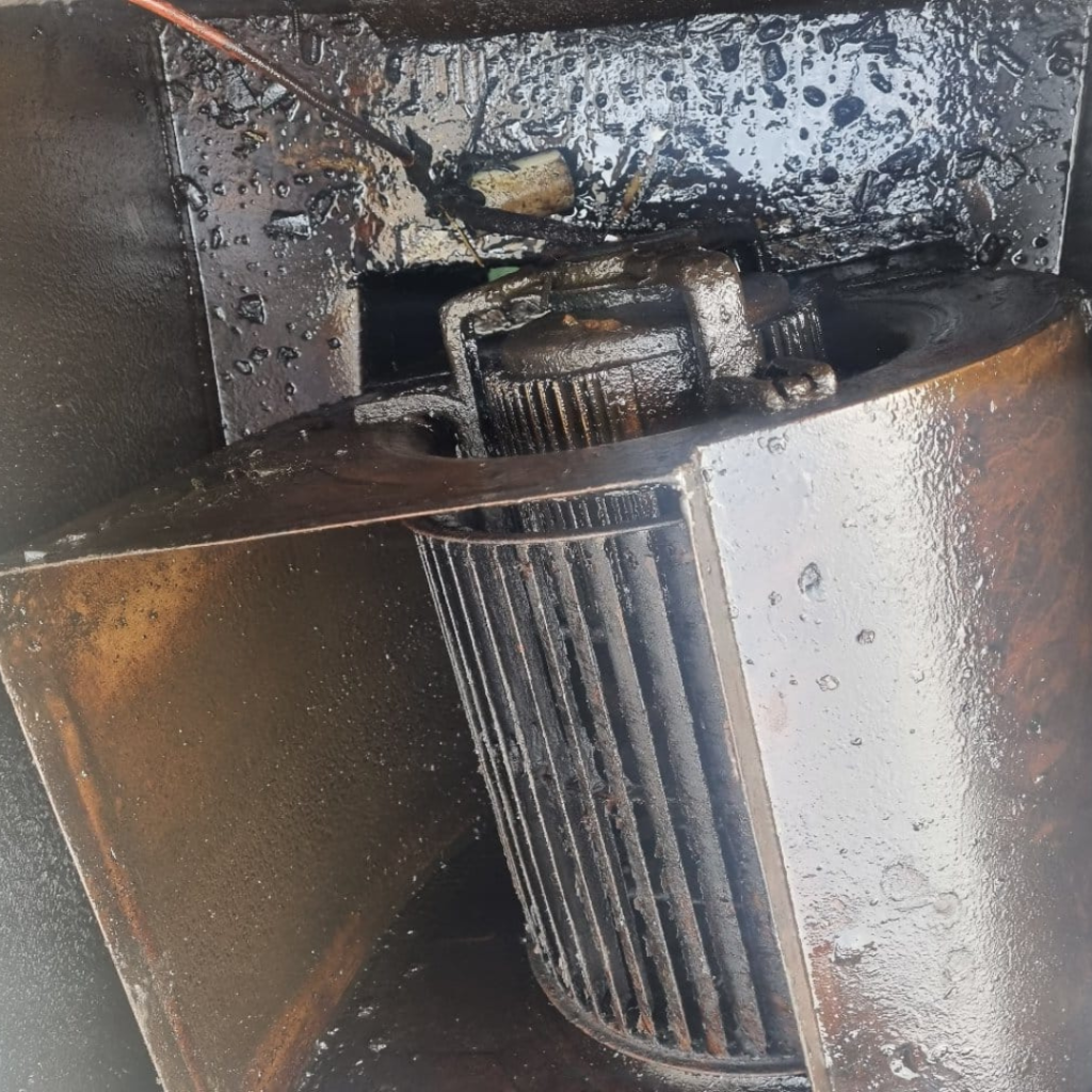 Mant Motor