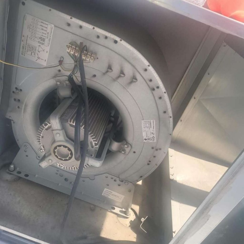 Mantenimiento Motor